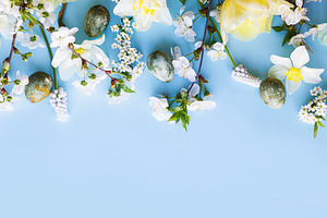 Happy Easter! Easter eggs with daffodils and cherry blossom flat, a Holiday Photo by Sonjachni