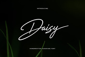 Daisy Handwritten Font, a Script Font by sunnytudu
