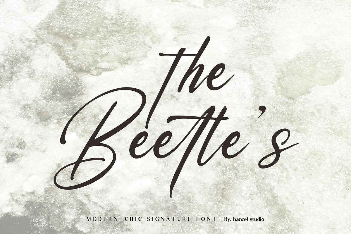 Saltacrus//Chic Signature Font preview 6