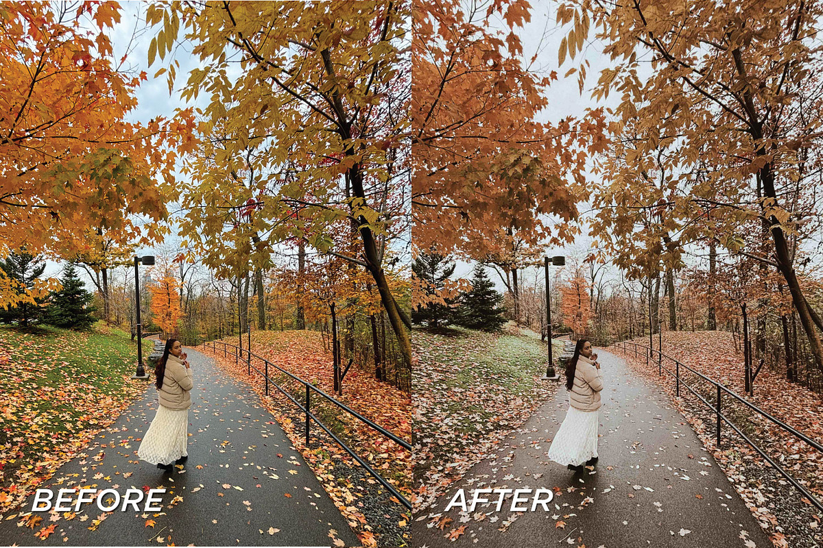 15 Moody Fall Lightroom Presets, a Preset Add-On by TheWayfarerShoppe (Photo 4 of 9)