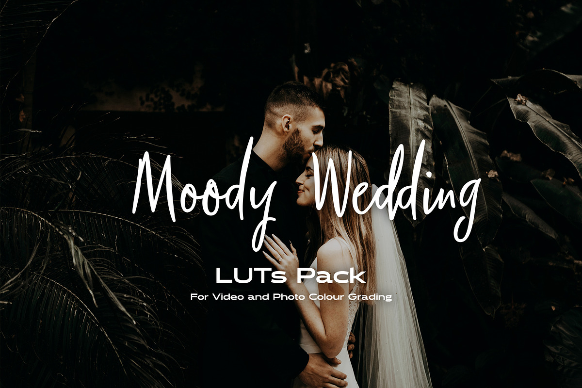 Moody Wedding LUTs pack, a Plug-in Add-On by Maple Visuals (Photo 1 of 10)