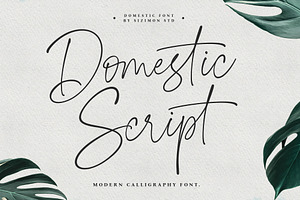 Domestic Script, a Handwritten Font by sizimon