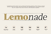 Euclid Serif | 180 Font Files, a Serif Font by Ws Studio (Thumbnail 8 of 12)