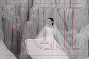 Vows Elegant Condensed Serif, a Serif Font by That That Creative (Thumbnail 6 of 10)