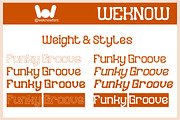 Funky Groove font, a Sans Serif Font by weknow (Thumbnail 7 of 8)