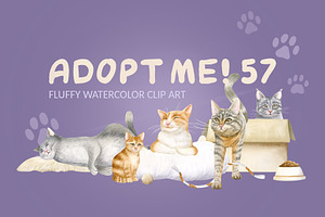 Cats Funny Toys Watercolor Clip art, an Animal Illustration by Elena Malgina Clipart