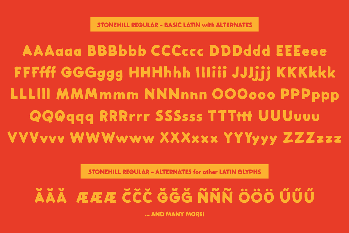 Stonehill, a Sans Serif Font by Great Scott! (Photo 6 of 8)