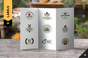 Farmers Market Food Pack, an Outline Icon by Falcon eye (Thumbnail 3 of 8)
