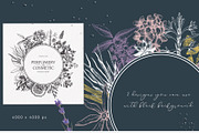 Aromatic Plants & Flowers Vector Set, a Healthcare Illustration by Yevheniia (Thumbnail 5 of 9)