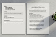 ATS Friendly Resume For Teacher, a Resume Template by SmmrDesign (Thumbnail 3 of 8)