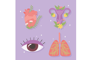 human body parts icons, an Object Illustration by studiogstock