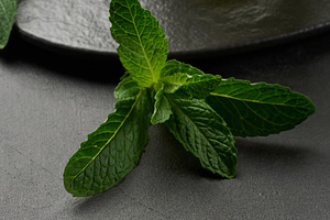 Sprig of mint with green leaves on black table, a Food & Drink Photo by ndanko