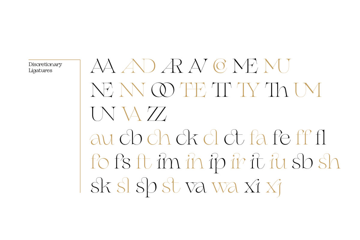 Erotique - 10 fonts, a Serif Font by Zetafonts (Photo 11 of 14)