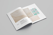 InDesign Portfolio Template, a Brochure Template by Meenom Templates (Thumbnail 10 of 13)
