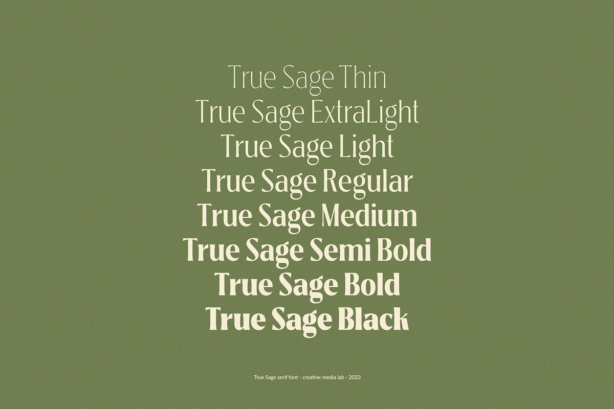 True Sage - Decorative Serif Family, a Font by creativemedialab (Photo 4 of 16)