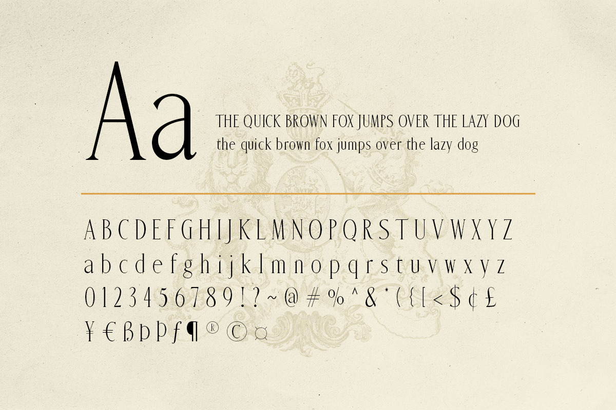 Malimbu - Exclusivity Serif, a Serif Font by Tammami (Photo 9 of 9)