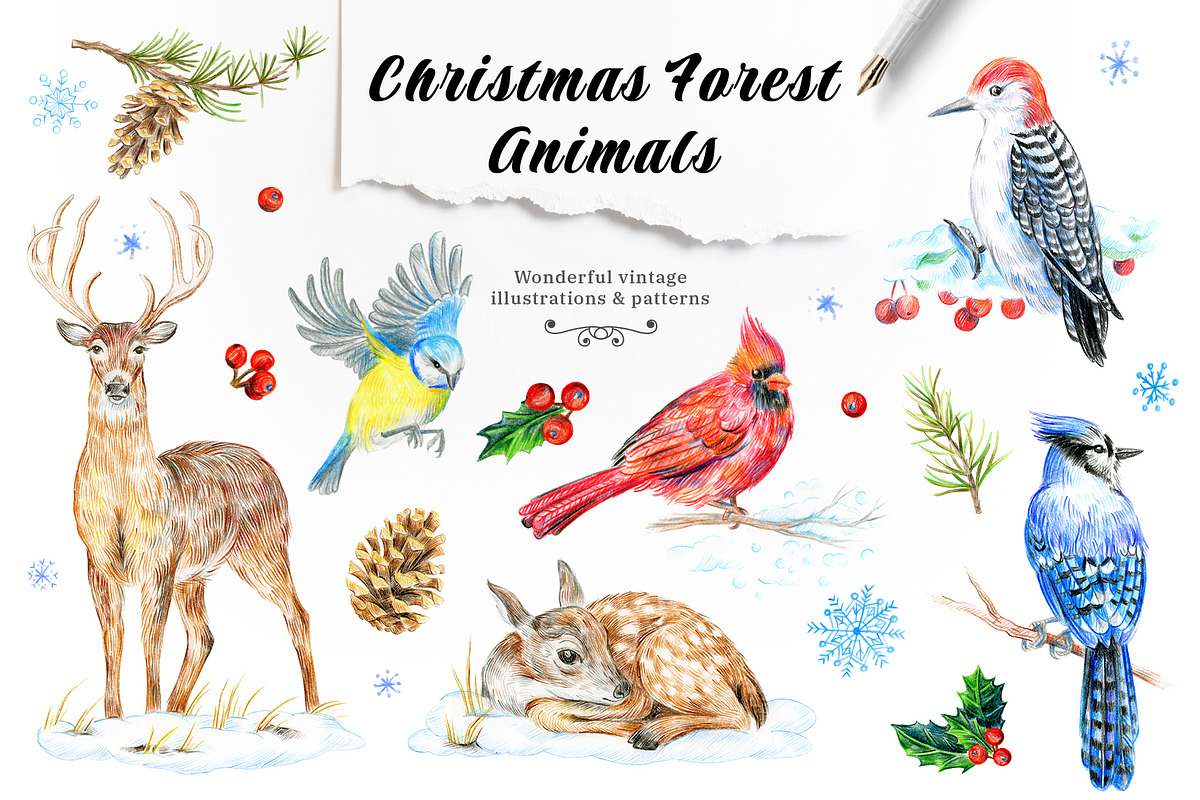 30 PNG images. Winter forest animals, an Animal Illustration by Art by Lady Natali (Photo 1 of 8)
