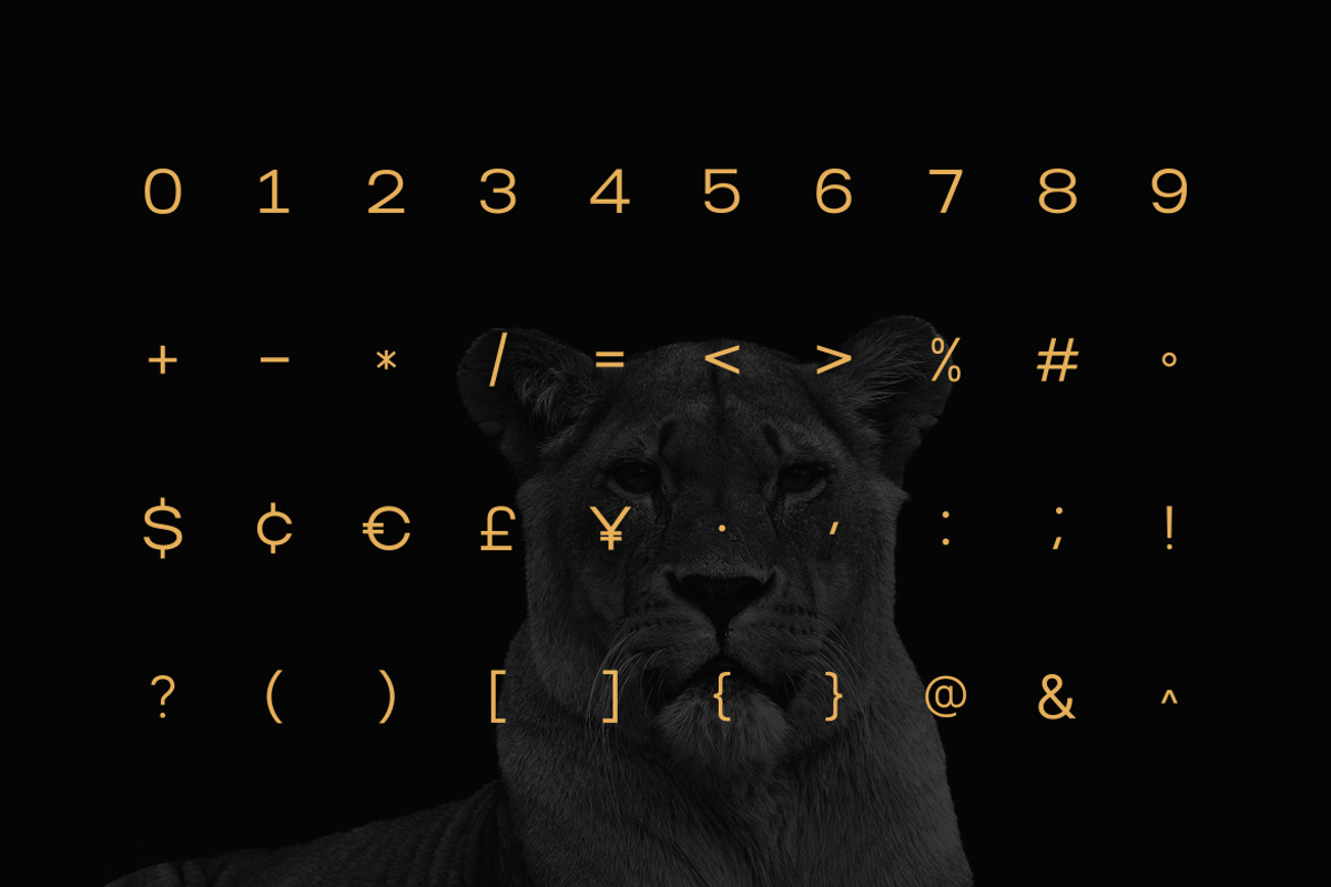 Norik Nue - A Modern Sans-serif Font, a Sans Serif Font by Webhance Studio (Photo 8 of 12)