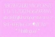 Polyglot - Typeface, a Serif Font by MJtypefoundry (Thumbnail 4 of 13)