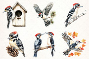 Downy Woodpecker Clipart, an Illustration by Pixels.Craft (Thumbnail 2 of 7)