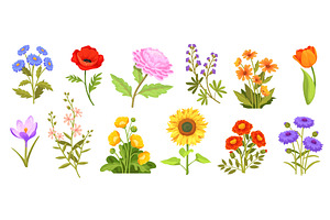 Cartoon wildflowers. Field and, an Object Illustration by Stock-Smart-Start