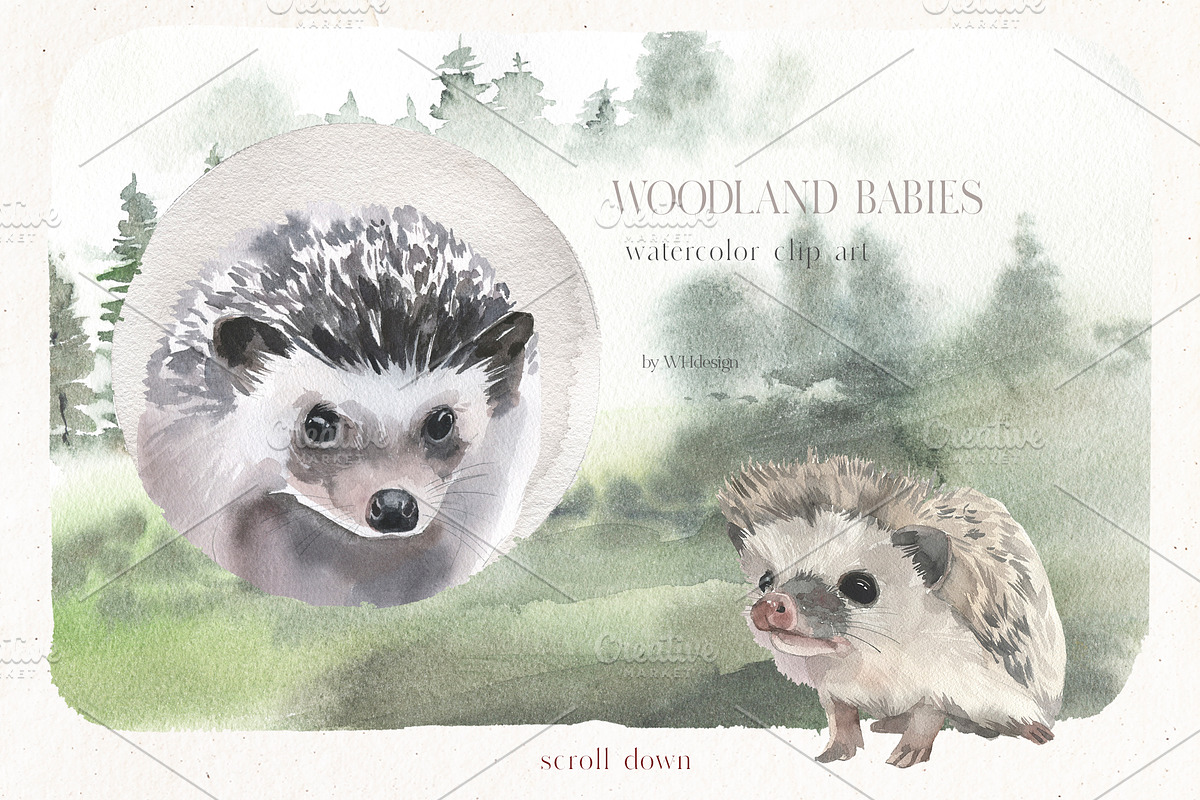 Woodland Babies Wild Animals Clipart, an Animal Illustration by whiteheartdesign (Photo 5 of 28)