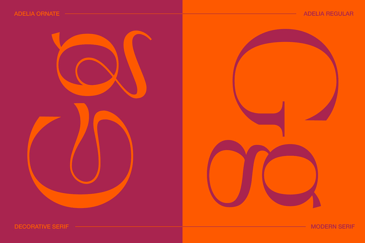 Adelia Mixable Serif, a Serif Font by Sam Parrett (Photo 9 of 11)