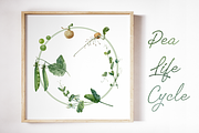 Plant Life Cycle Clip Art and Print, a Decorative Illustration by Tati Bordiu (Thumbnail 1 of 3)
