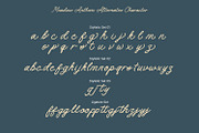 Meadow Anthem, a Handwritten Font by Nathatype (Thumbnail 10 of 11)