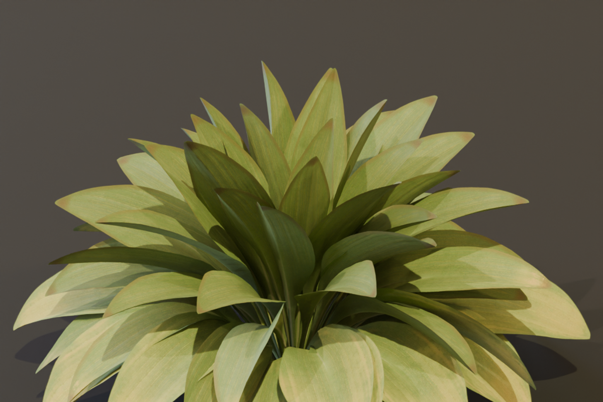 The Haran Bush, a Plants & Tree 3D Model by FuturePastCreatives (Photo 4 of 13)