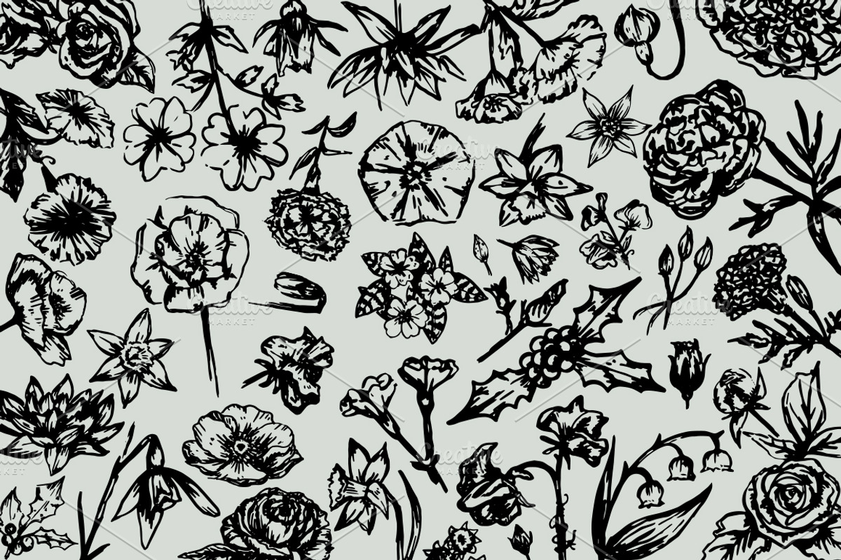 Hand-Illustrated Floral Vectors, an Illustration by Britt Fabello (Photo 4 of 4)
