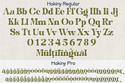 Hakiny – Serif Font, a Serif Font by NDNL Studio (Thumbnail 8 of 9)