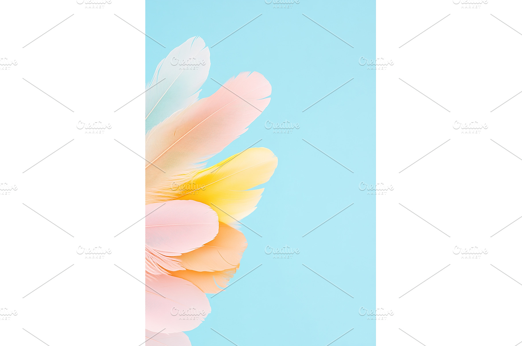 Colorful pastel feathers against, an Abstract Photo by Lermont51
