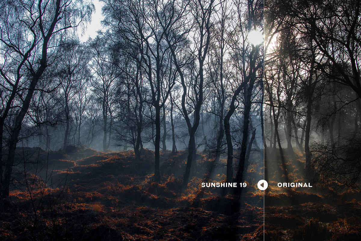 700+ Lightroom Presets Bundle, an Action Add-On by Art Zooted (Photo 21 of 39)