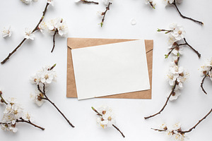  postcard and cherry flowers 