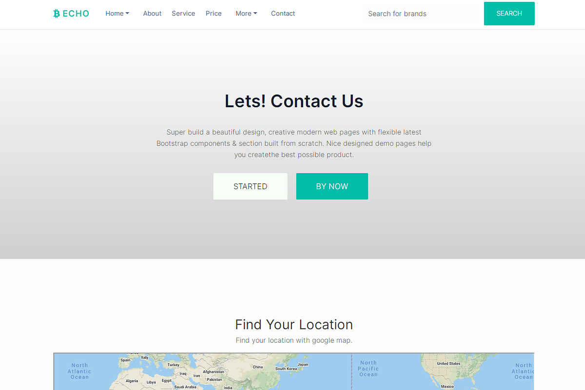 Echo - Multipurpose HTML Template, a HTML Template by Design Collection (Photo 3 of 9)