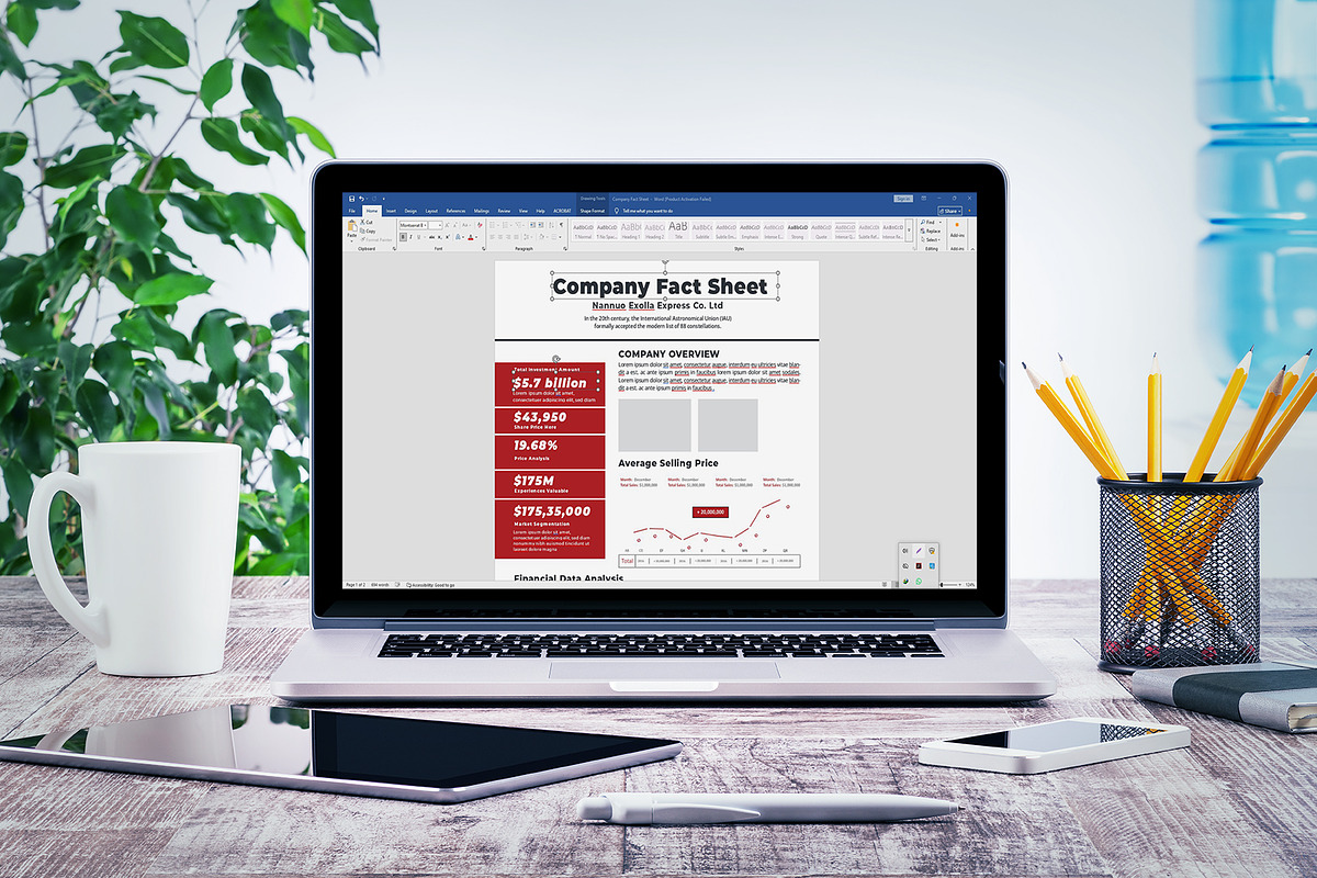 Company Fact Sheet | Word & Indesign, a Flyer Template by obayes (Photo 4 of 4)