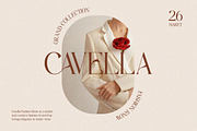 Sassy Born - Modern Elegant Font, a Serif Font by Qweera Studio (Thumbnail 4 of 12)