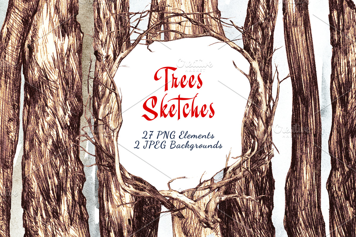 Trees Sketches, an Illustration by Nadiia Hanina (Photo 5 of 5)