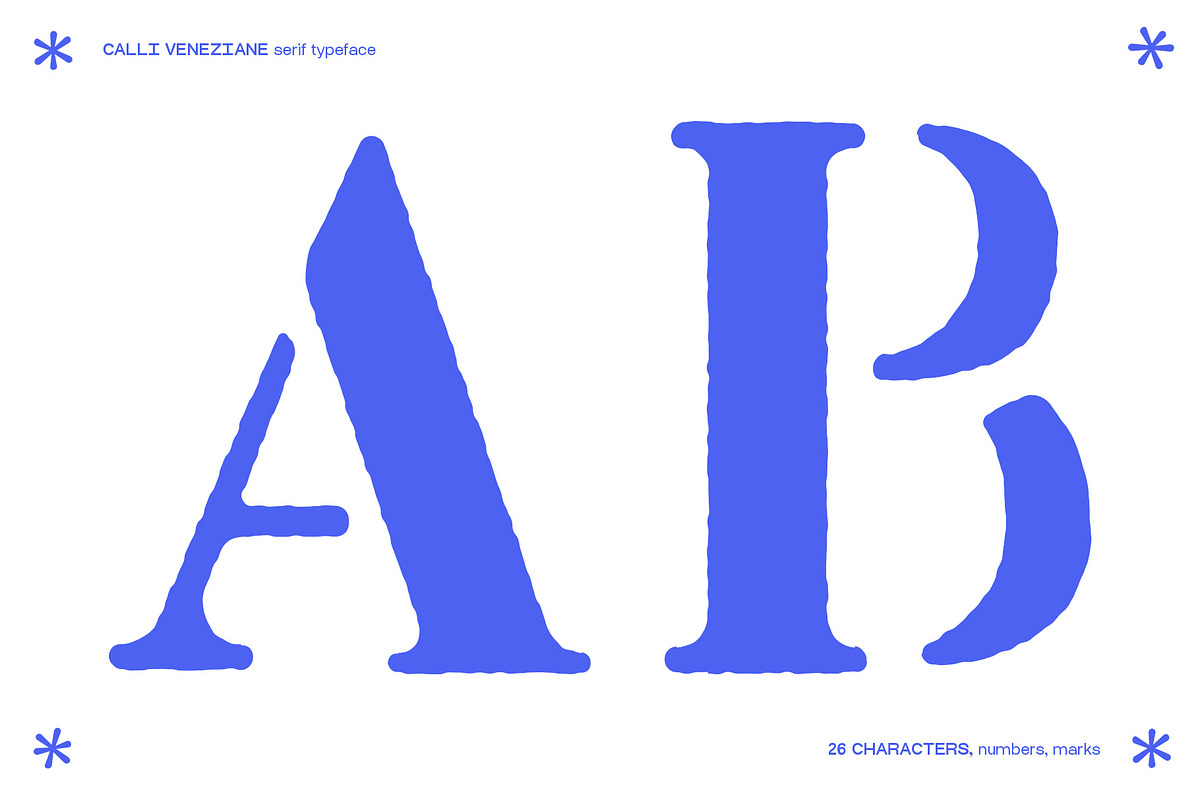 CALLI VENEZIANE Serif Font, a Font by MDP TYPEFACES (Photo 4 of 6)