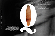 Mallone | 12 Fonts, a Serif Font by Skinny Type (Thumbnail 9 of 10)