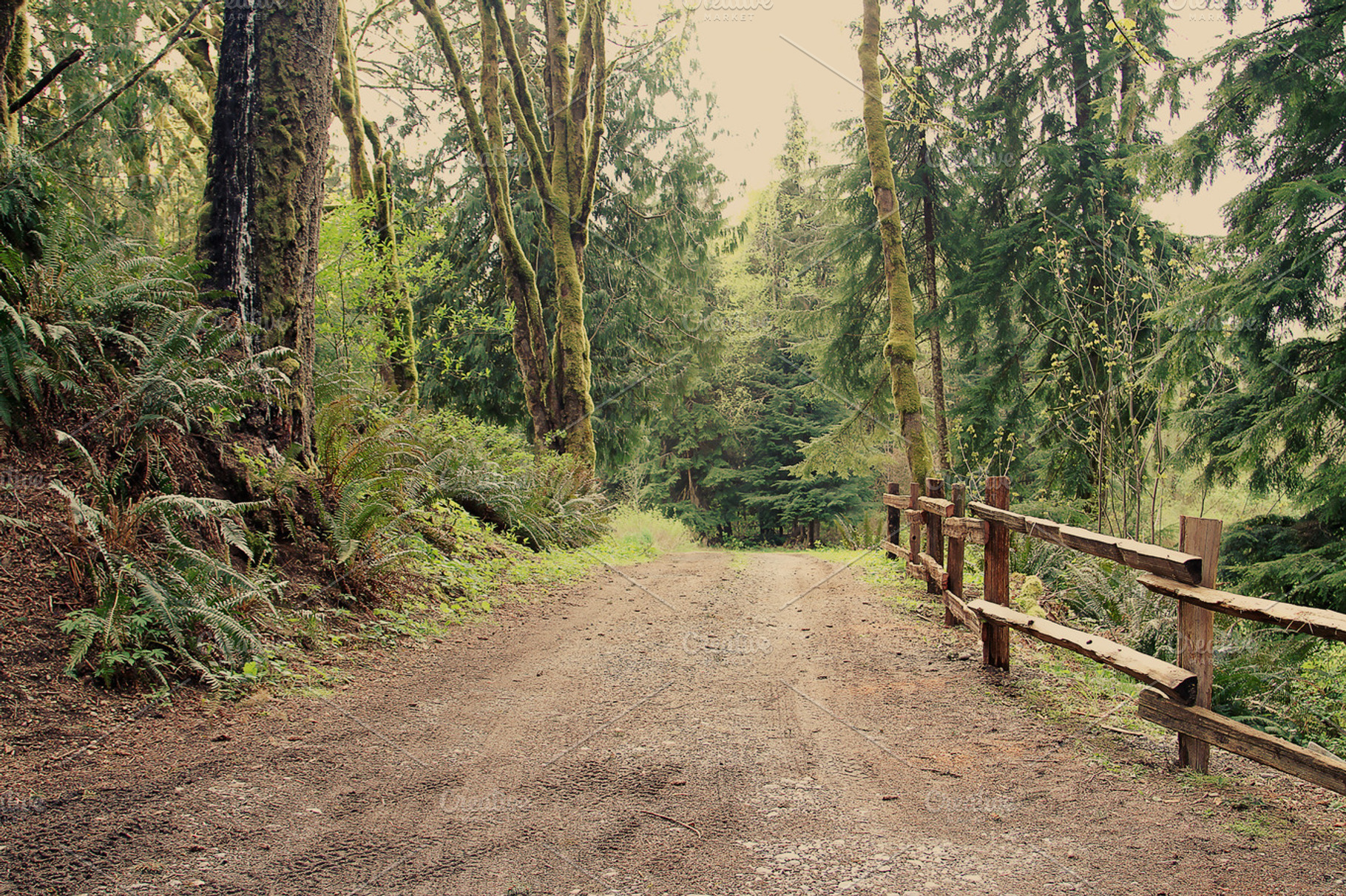 Road with a Fence, a Nature Photo by Creatively Happy Studio