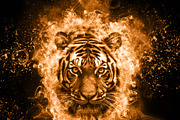 Smoke Manipulation Photoshop Action, an Action Add-On by MRI STUDIO (Thumbnail 6 of 18)