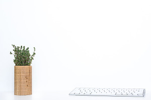 Feminine desktop with thyme