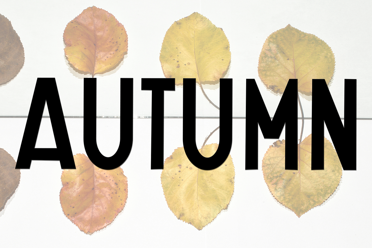 Autumn Farmhouse, a Script Font by FreshTypeINK (Photo 8 of 8)
