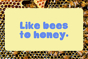 Honey Buns | Bold Display Font, a Handwritten Font by Third Ginger Studio (Thumbnail 5 of 5)