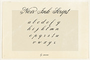 Noir Ink Script, a Script Font by Mneme (Thumbnail 7 of 8)