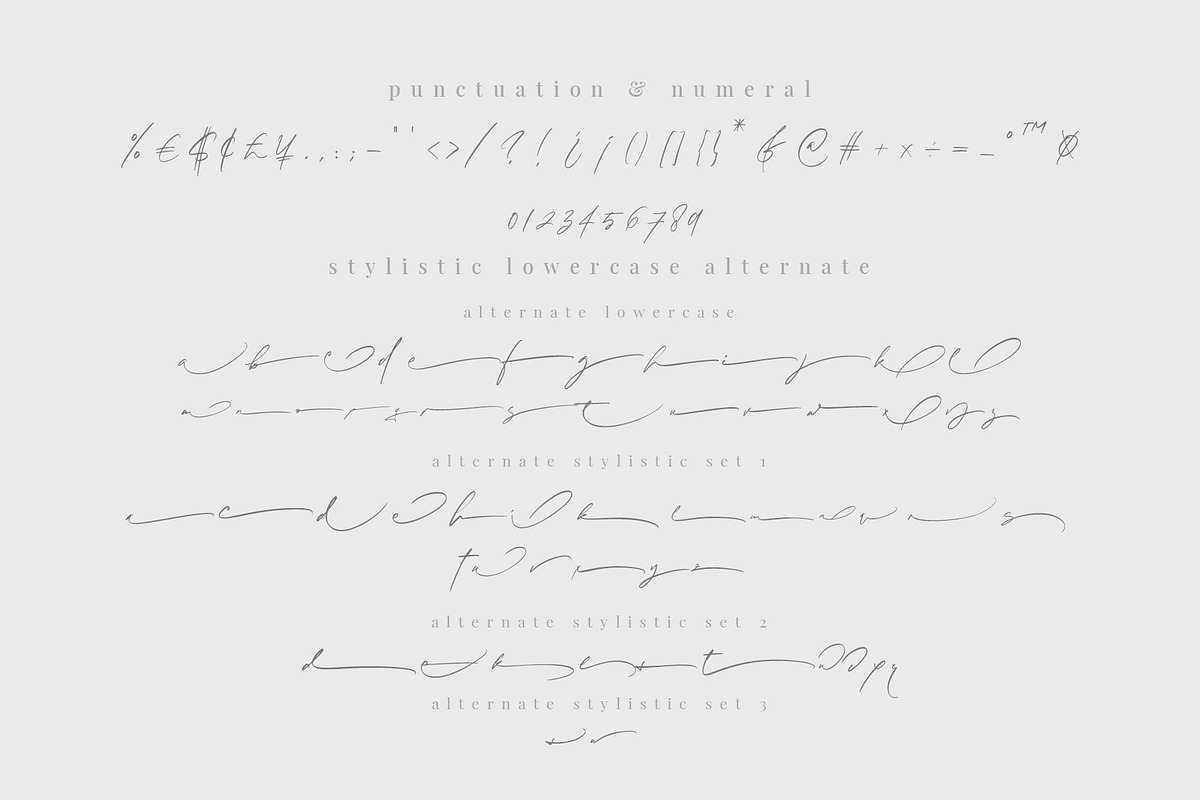 Sieralova - A Beauty Handwritten, a Script Font by Walkeren (Photo 10 of 16)