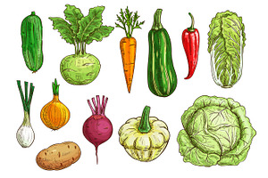 Vegetable isolated sketch set for food design, a Food Illustration by Vector Tradition
