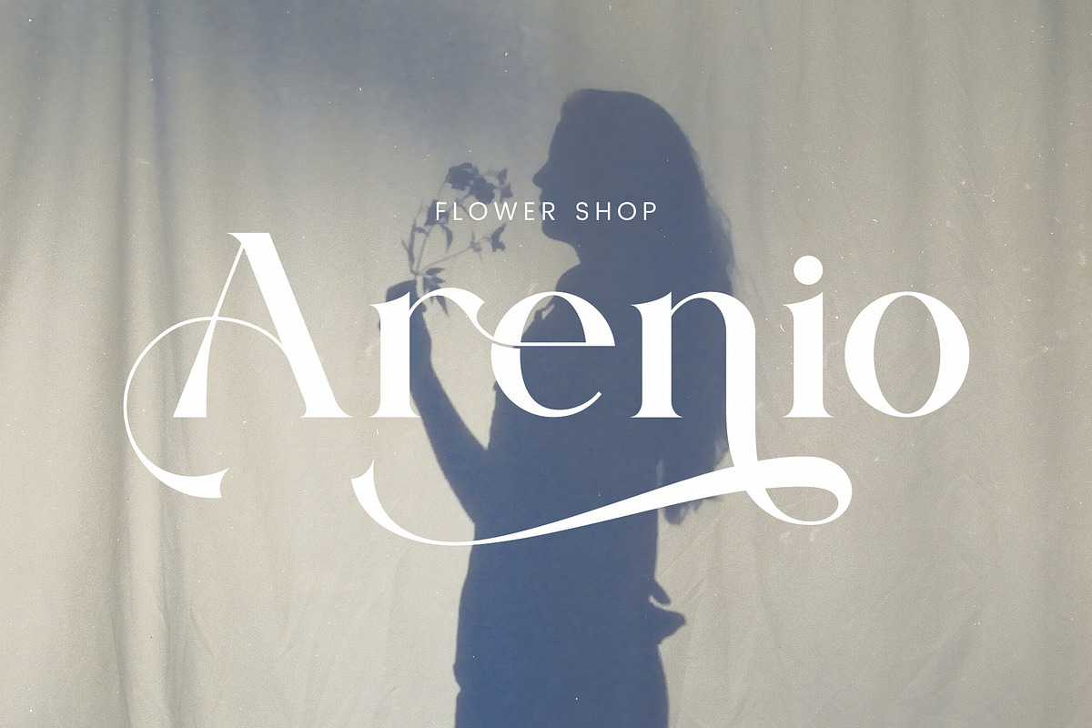 Ranima - Modern Ligature Typface, a Serif Font by AnnofaType (Photo 3 of 8)